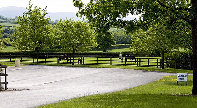 can you visit coolmore stud ireland